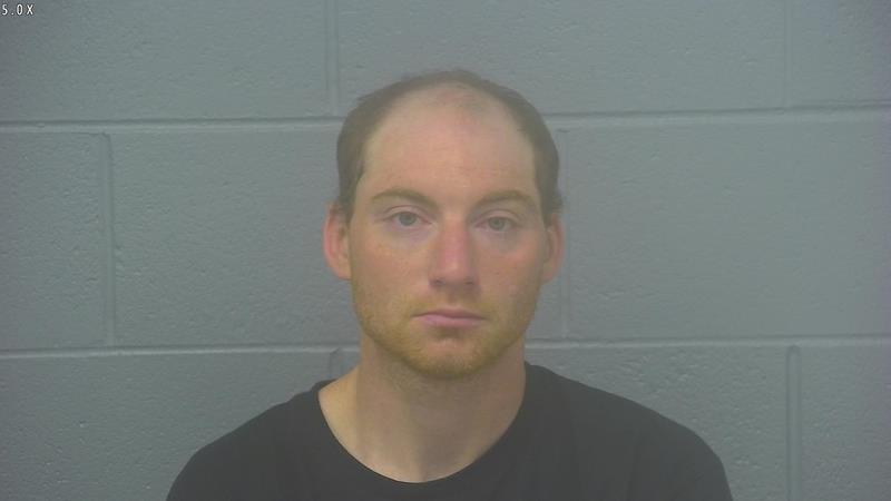 Arrest photo of BRANDON TAYLOR